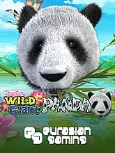 wild-giant-panda