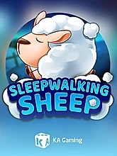 sleepwalking-sheep