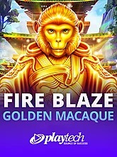 Fire Blaze: Golden Macaque