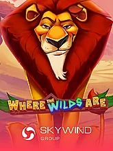 where-the-wilds-are